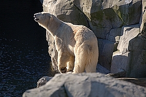 Erlebnisangebote
