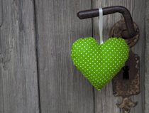 Ferienwohnungen, Ferienhäuser, Privatzimmer