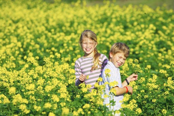 Vakantie op de boerderij