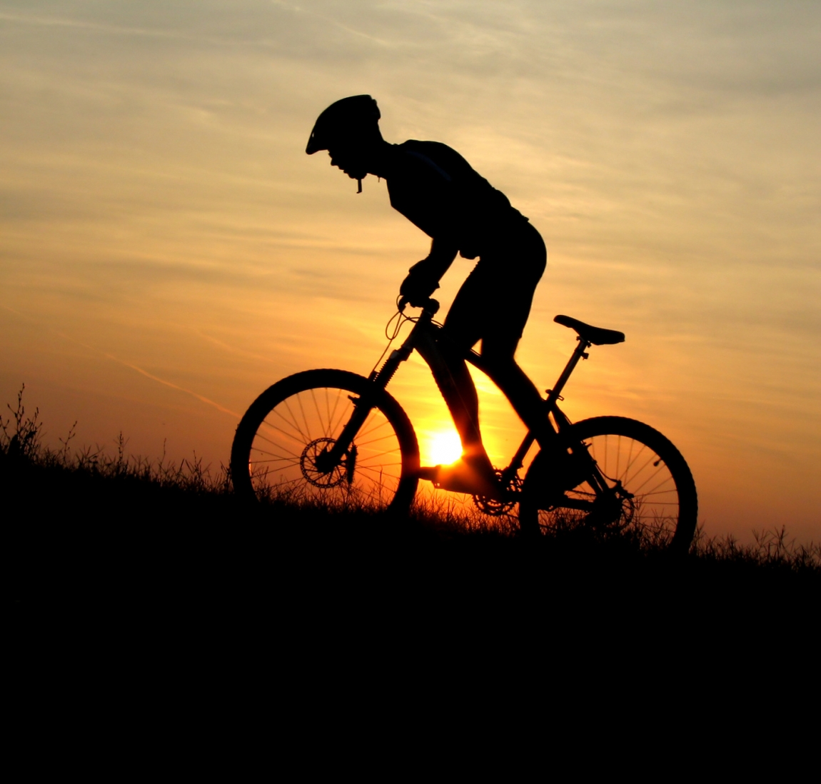 bett+bike-Betriebe